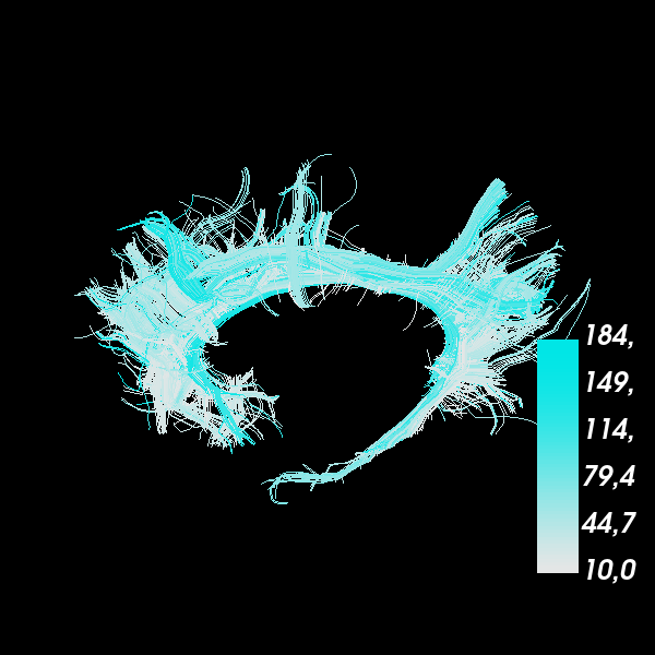 ../_images/sphx_glr_viz_bundles_005.png